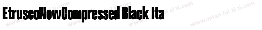 EtruscoNowCompressed Black Italic字体转换